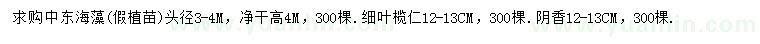 求購中東海藻、細葉欖仁、陰香