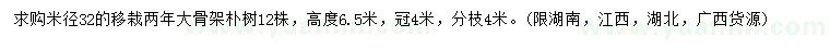求購米徑32公分樸樹