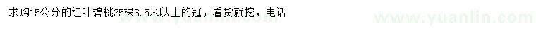 求購15公分紅葉碧桃