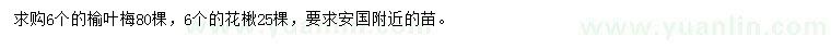 求購6公分榆葉梅、花楸