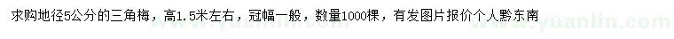 求購地徑5公分三角梅