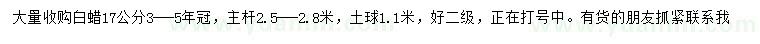 求購(gòu)17公分白蠟