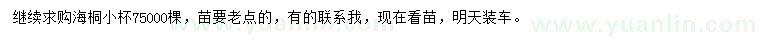求購(gòu)海桐