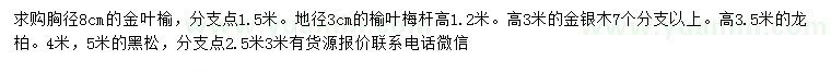 求購(gòu)金葉榆、榆葉梅、金銀木等