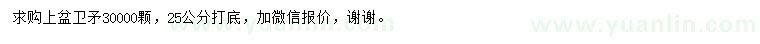 求購25公分衛(wèi)矛