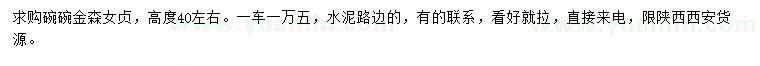求購高40公分左右金森女貞