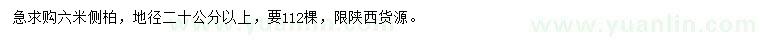 求購地徑20公分以上側(cè)柏