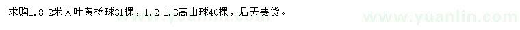 求購(gòu)1.8-2米大葉黃楊球、1.2-1.3米高山球