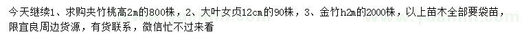 求購夾竹桃、大葉女貞、金竹