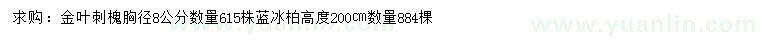 求購(gòu)胸徑8公分金葉刺槐、高2米藍(lán)冰柏		