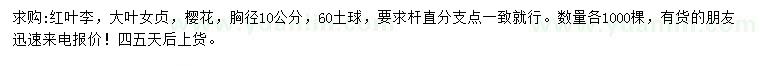 求購(gòu)紅葉李、大葉女貞、櫻花