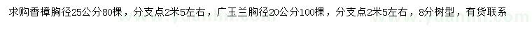 求購胸徑25公分香樟、胸徑20公分廣玉蘭