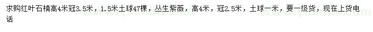 求購(gòu)高4米紅葉石楠
