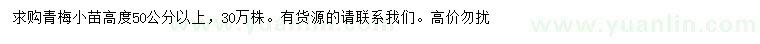 求購高50公分以上青梅小苗