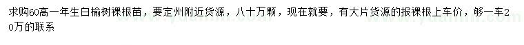 求購(gòu)高60公分白榆