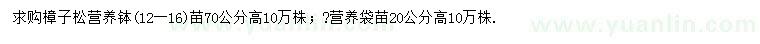 求購高20、70公分樟子松