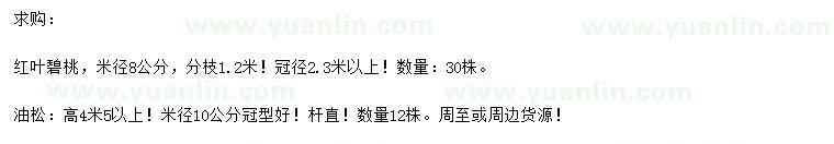 求購米徑8公分紅葉碧桃、高4.5米油松