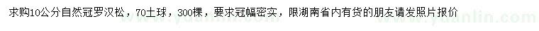 求購10公分羅漢松