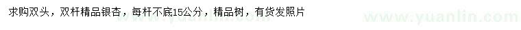求購15公分雙桿銀杏
