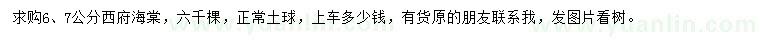 求購6、7公分西府海棠