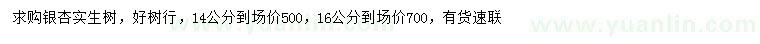求購14、16公分銀杏實生樹