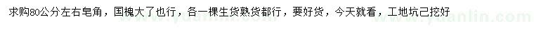 求購80公分左右皂角