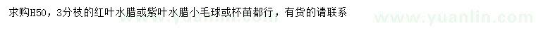 求購(gòu)高50公分紅葉水臘、紫葉水臘