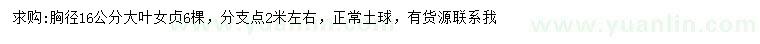 求購胸徑16公分大葉女貞