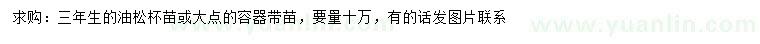 求購油松