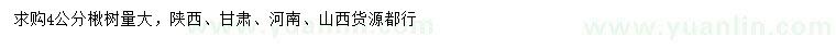 求購4公分楸樹