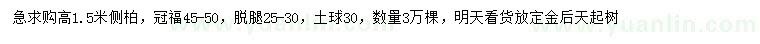求購(gòu)高1.5米側(cè)柏