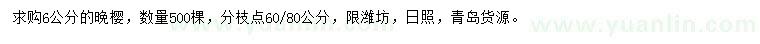 求購6公分晚櫻