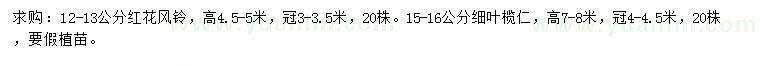 求購12-13公分紅花風鈴、15-16公分細葉欖仁