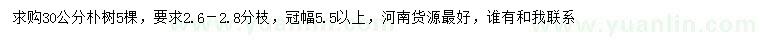 求購30公分樸樹