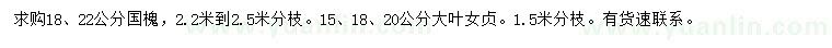 求購18、22公分國槐、15、18、20公分大葉女貞