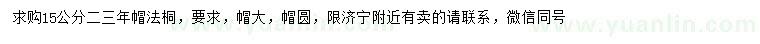 求購15公分法桐