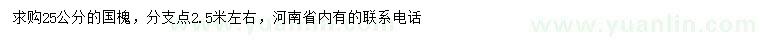 求購(gòu)25公分國(guó)槐