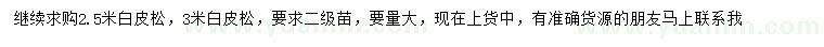 求購2.5、3米白皮松