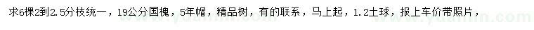 求購(gòu)19公分國(guó)槐