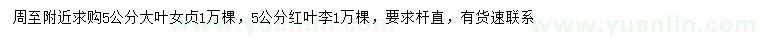 求購(gòu)5公分大葉女貞、紅葉李