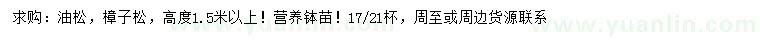 求購(gòu)高1.5米以上油松、樟子松