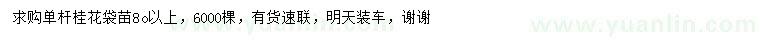 求購80公分以上桂花