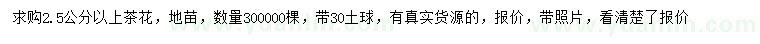求購2.5公分以上茶花