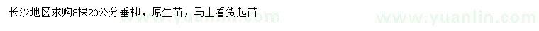 求購(gòu)20公分垂柳
