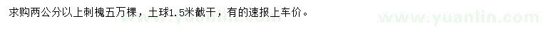 求購2公分以上刺槐