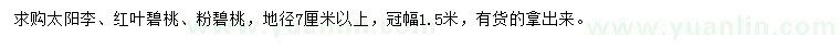 求購太陽李、紅葉碧桃、粉碧桃