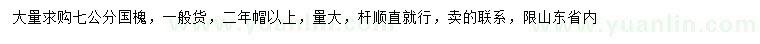 求購7公分國槐