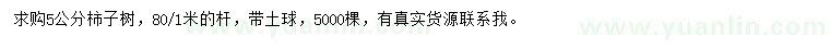 求購5公分柿子樹