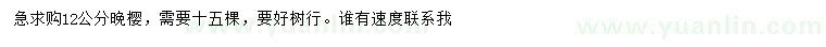 求購12公分晚櫻