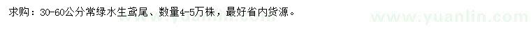 求購30-60公分水生鳶尾
